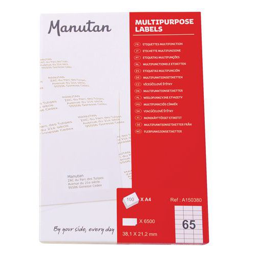 Samolepící etikety Manutan Expert, 3,8 x 2,1 cm