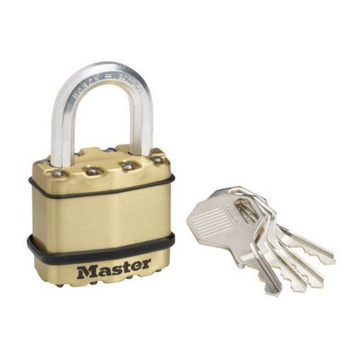 Mosazný visací zámek Master Lock Excell 45mm výška třmenu 24mm