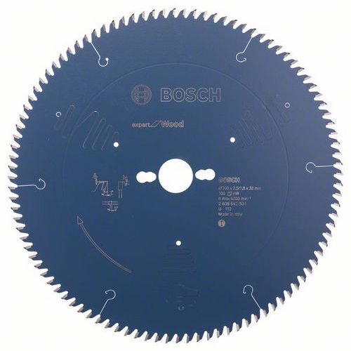 Bosch - Pilový kotouč Expert for Wood 300 x 30 x 2,5 mm, 100