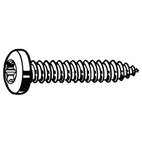 Samořezný šroub s nízkou válcovou hlavou s T-hvězdicí ISO 14585 C Ocel Pozinkované ST5,5X19MM