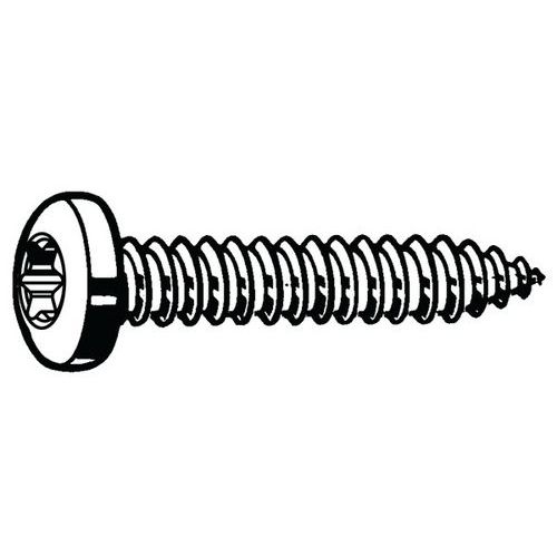 Samořezný šroub s nízkou válcovou hlavou s T-hvězdicí ISO 14585 C Nerezocel A2 ST3,5X13MM