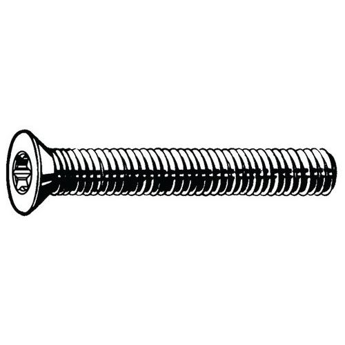 Šroub se zápustnou hlavou s T-hvězdicí DIN 965 A Nerezocel A2 M3X6