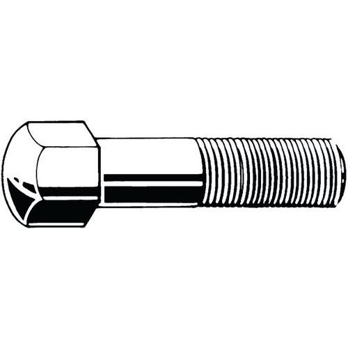 Pásový šroub Ocel Pravý Bez PU 170 1/2X1.1/2X19MM