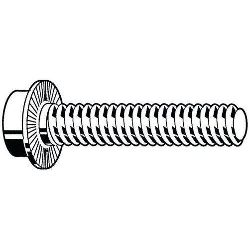 Samojistící šroub s hlavou s vnitřním šestihranem a nákružkem Ocel Bez PU 100 M6X25