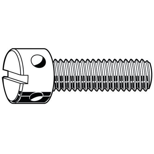 Plombový šroub s drážkou DIN 404 Nerezocel A1 50 M3X10