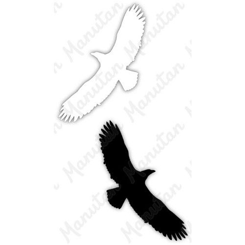 Silueta dravce, samolepka 166 x 404 x 0,1 mm, bílá