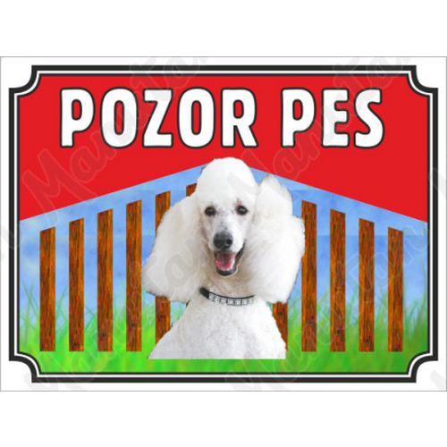 Pozor pes - Pudl Bílý, plast 210 x 148 x 0,5 mm A5