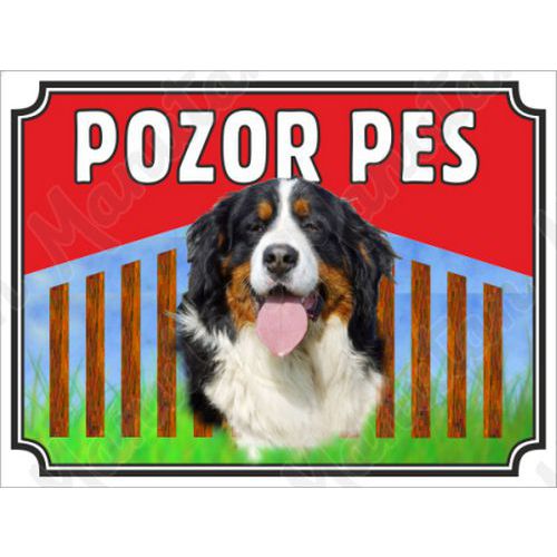 Pozor pes - Bernský salašnický pes, plast 210 x 148 x 0,5 mm A5