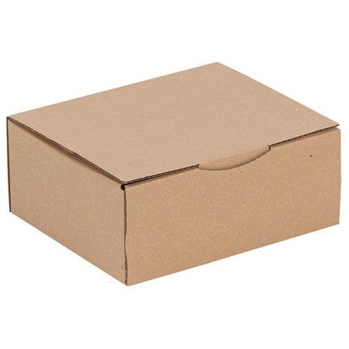 Eko kartonová krabice, 250 x 200 x 100 mm