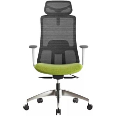 Kancelářská židle WISDOM, šedý plast, zelená