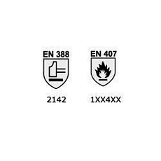 AIG2733000.jpg