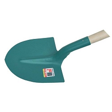 AIG288065.jpg