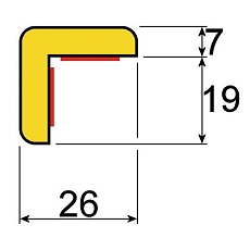 AIG2898722.jpg