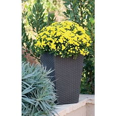 Květináč Rattan S, 23,6 l, hnědý