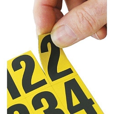 AIG2981859.jpg
