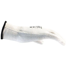 AIG3208820.jpg
