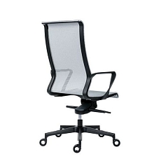 AIG3972967.jpg