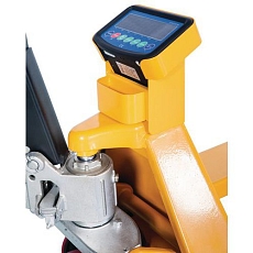 AIG5971024.jpg