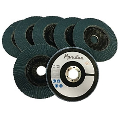 Lamelový brusný kotouč Manutan Expert, 125 mm, zrnitost 120