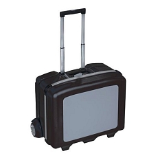 AIG6680477.jpg