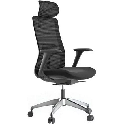 Kancelářská židle WISDOM, černý plast, černá