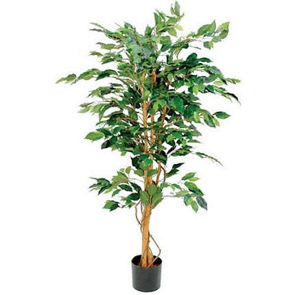 Umělá rostlina Ficus Benjamina, zelená, výška 150 cm