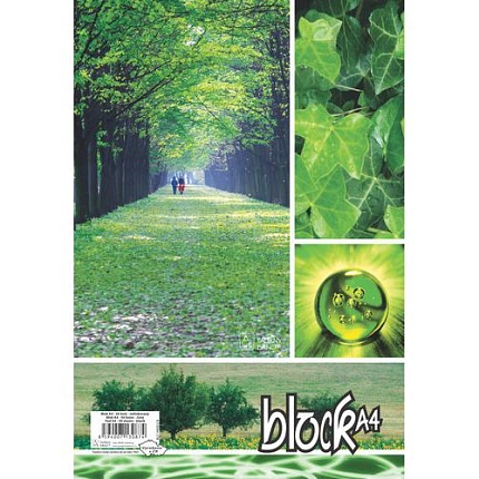 Blok kroužkový s horní spirálou, A4, čtverečkovaný, 5 ks