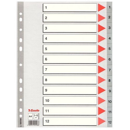 Plastové rozdružovače Esselte, 10 ks, 12 oddílů