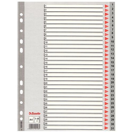 Plastové rozdružovače Esselte, 10 ks, 31 oddílů