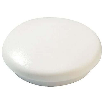 Barevné kulaté magnety, průměr 12 mm, bílé