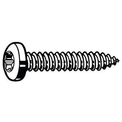 Samořezný šroub s nízkou válcovou hlavou s T-hvězdicí ISO 14585 C Ocel Pozinkované ST5,5X19MM