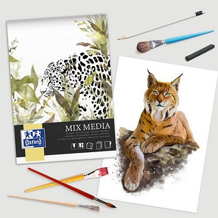 Blok pro kreslení Mix Media Oxford Art 50p 225g s podložkou, A4
