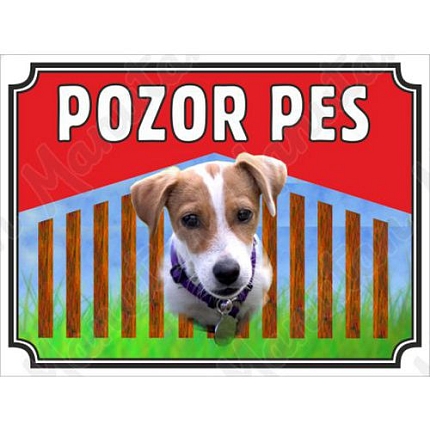 Pozor pes - Jack Russel, plast 210 x 148 x 2 mm A5