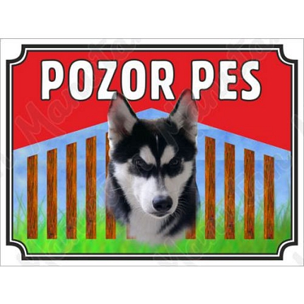 Pozor pes - Sibiřský Hasky, plast 210 x 148 x 0,5 mm A5