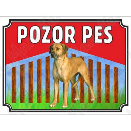 Pozor pes - Ridgeback, plast 210 x 148 x 0,5 mm A5