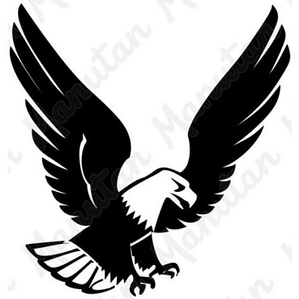 Silueta dravce, samolepka 210 x 297 x 0,1 mm A4, inverzní