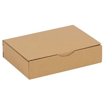 Eko kartonová krabice, 310 x 215 x 70 mm