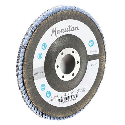 Lamelový brusný kotouč Manutan Expert, 125 mm, zrnitost 80