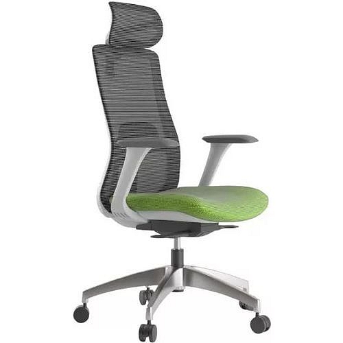 Kancelářská židle WISDOM, šedý plast, zelená