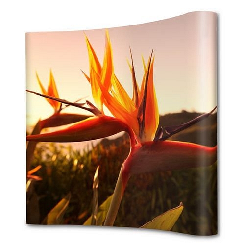 Pop-Up MagneticCurved, 5x3