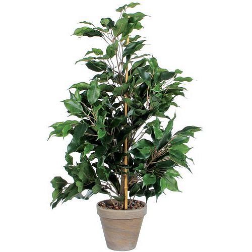 Umělá rostlina Ficus Exotica, zelená, výška 65 cm