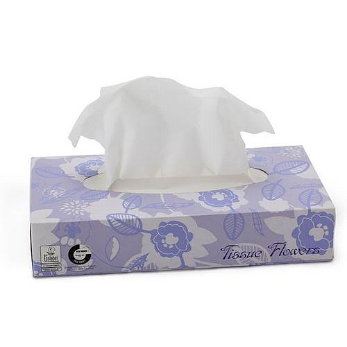 Papírové kapesníky Celtex Facial 2vrstvé, 100 útržků, bílé, 40 ks