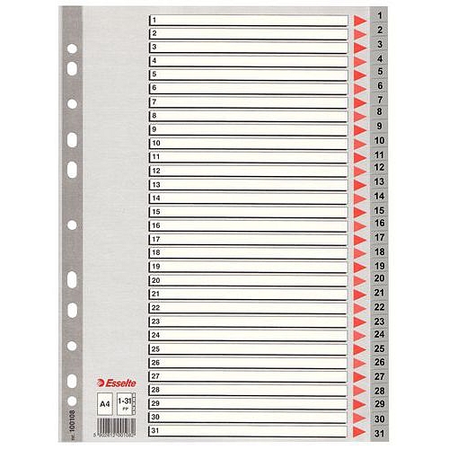 Plastové rozdružovače Esselte, 10 ks, 31 oddílů