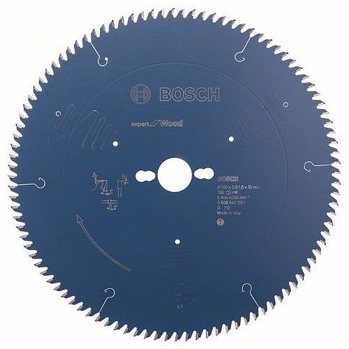 Bosch - Pilový kotouč Expert for Wood 300 x 30 x 2,5 mm, 100