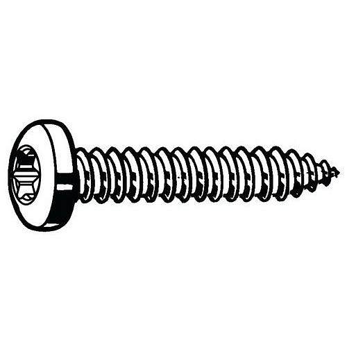 Samořezný šroub s nízkou válcovou hlavou s T-hvězdicí ISO 14585 C Nerezocel A2 ST3,5X13MM