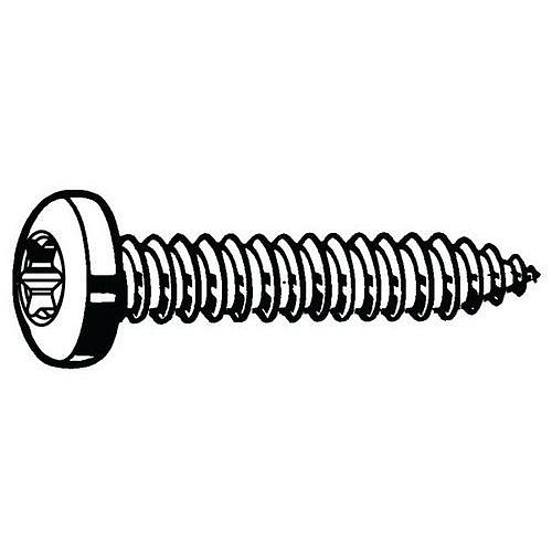 Samořezný šroub s nízkou válcovou hlavou s T-hvězdicí ISO 14585 C Nerezocel A4 ST3,5X9,5MM