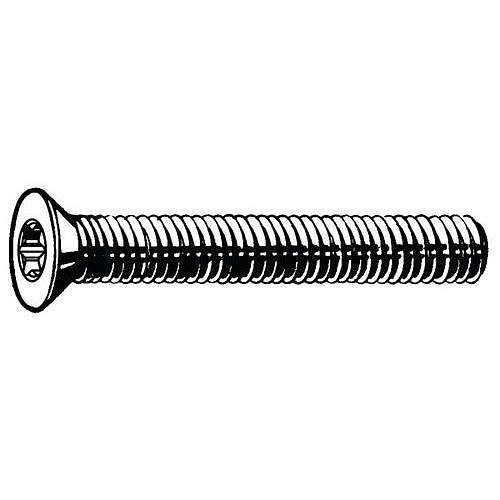 Šroub se zápustnou hlavou s T-hvězdicí DIN 965 A Nerezocel A2 M3X6