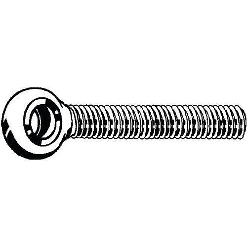 Šroub s okem a závitem k hlavě DIN 444 LB Ocel Pravý Pozinkované 4.6 M12X100