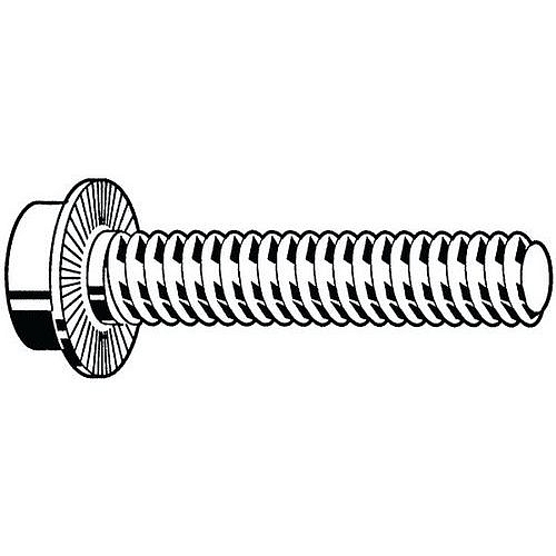 Samojistící šroub s hlavou s vnitřním šestihranem a nákružkem Ocel Bez PU 100 M6X25