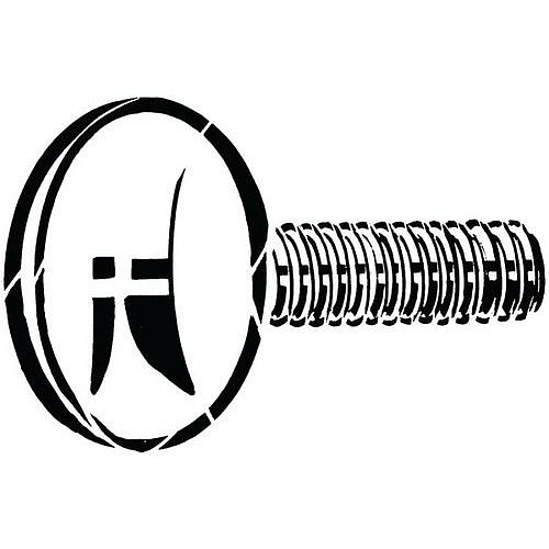 Palcový šroub Litina 35 Pozinkované M6X30